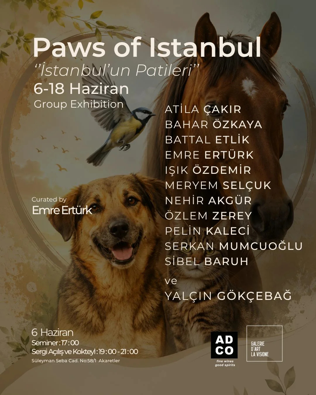 istanbulun patileri